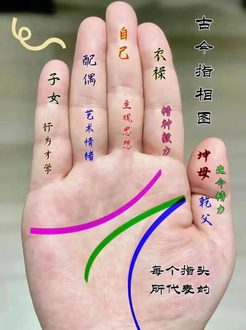 手纹解析，川字掌与命运婚姻的关系插图