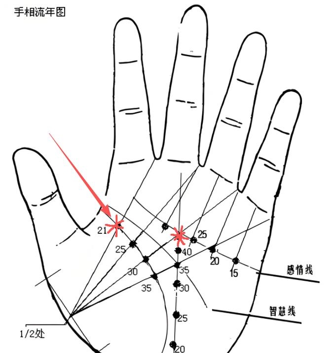 手相流年定位法，从纹路看人生轨迹插图