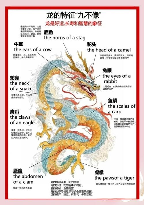 生肖龙，英姿难忘之神秘力量解析插图