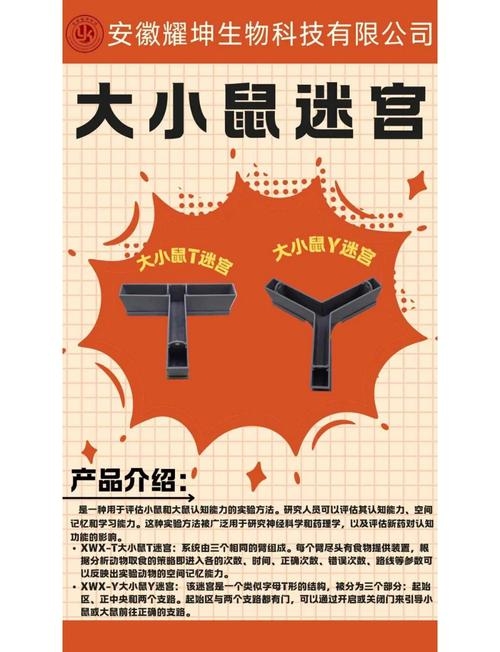 生肖迷宫攻略,掌握十二生肖走法,破解冰雪传奇迷宫的秘诀!插图 生肖迷宫攻略,掌握十二生肖走法,破解冰雪传奇迷宫的秘诀!插图