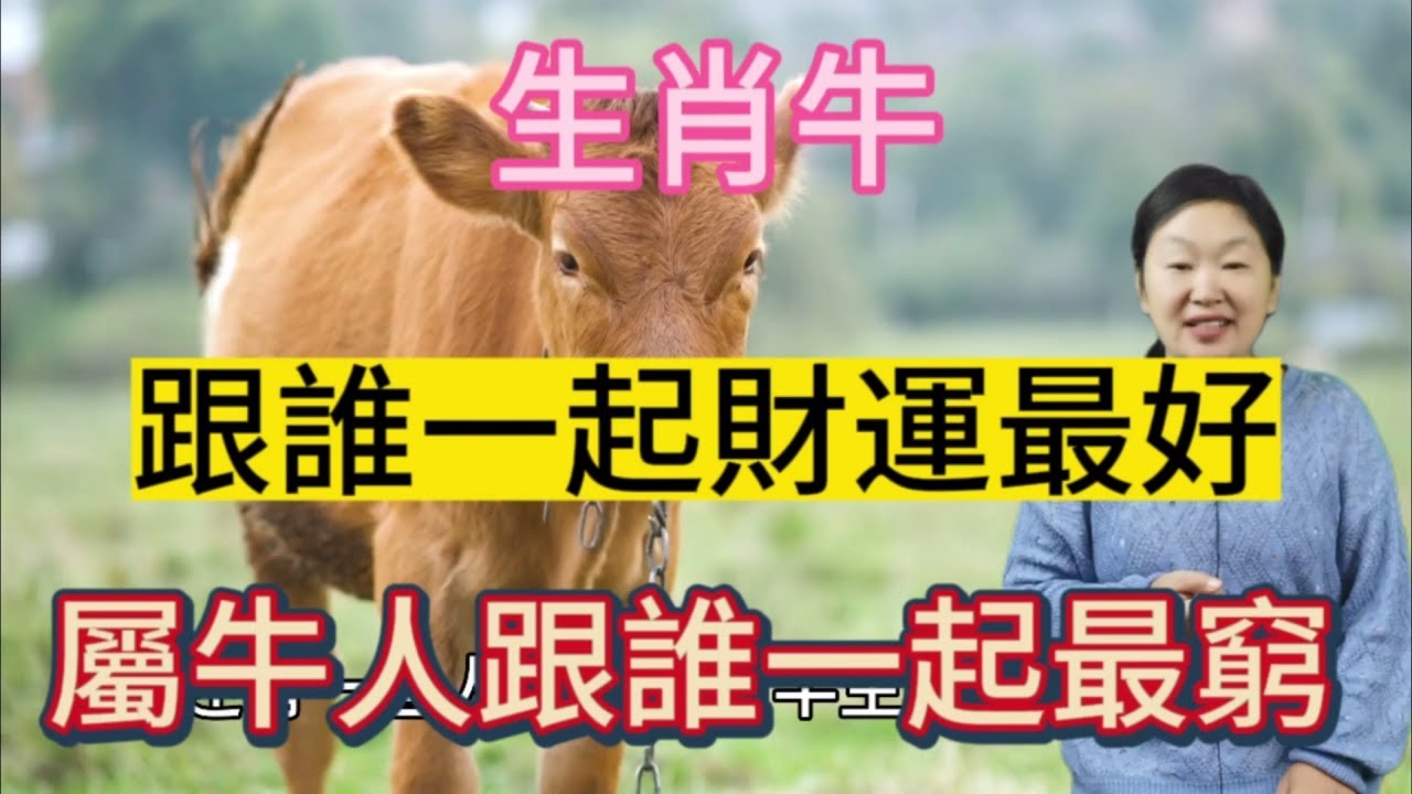 生肖牛，吃亏是福的象征。插图