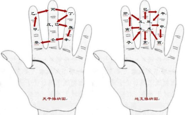 手掌算命法图解大全插图