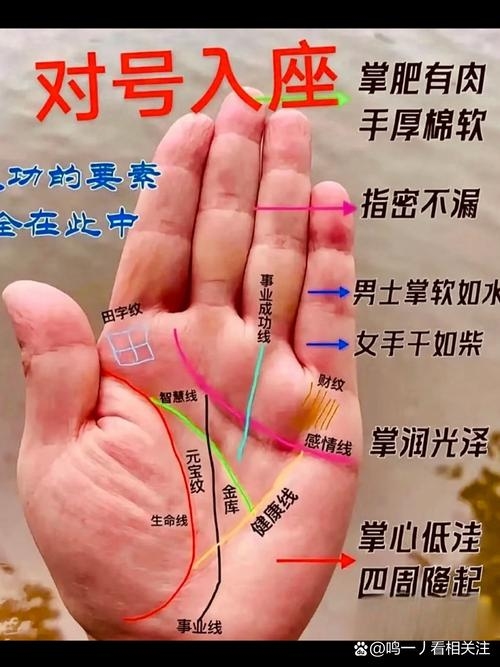 手相算命图解,婚姻与财运的秘密插图 手相算命图解,婚姻与财运的秘密插图