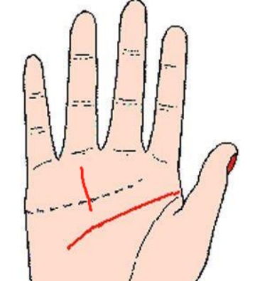 手相图解，太阳线与命运关系插图