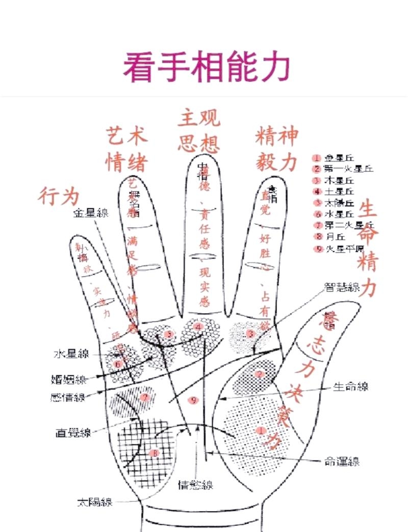 手相图解女性智慧线解读插图