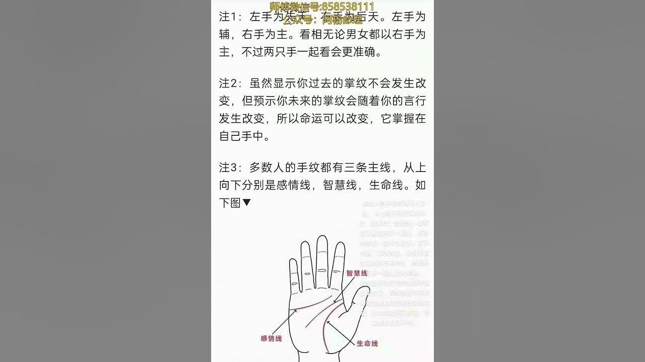 手相图解详解,生命线、感情线与智慧纹解读插图 手相图解详解,生命线、感情线与智慧纹解读插图