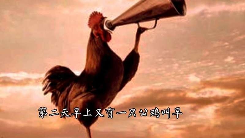 生肖鸡被称为说长道短，常用来形容喜欢议论别人是非的特点。插图