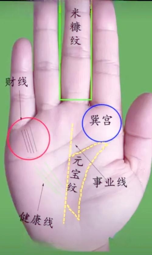 手相学大全，亿万富翁的手相特征与财运解析，建议，，亿万富翁的手相纹路揭秘，财富运势超乎想象！，富豪之手相探秘，财运线、玉井纹等揭示大富之兆，手中有此纹理，必发亿万之财——解密富贵手相的六大奇纹，从指尖看人生，事业线与财运线的奥秘解读插图