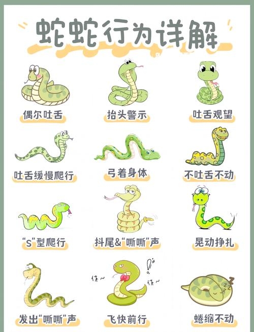 生肖蛇解析，俯伏卧姿与行动方式揭秘插图