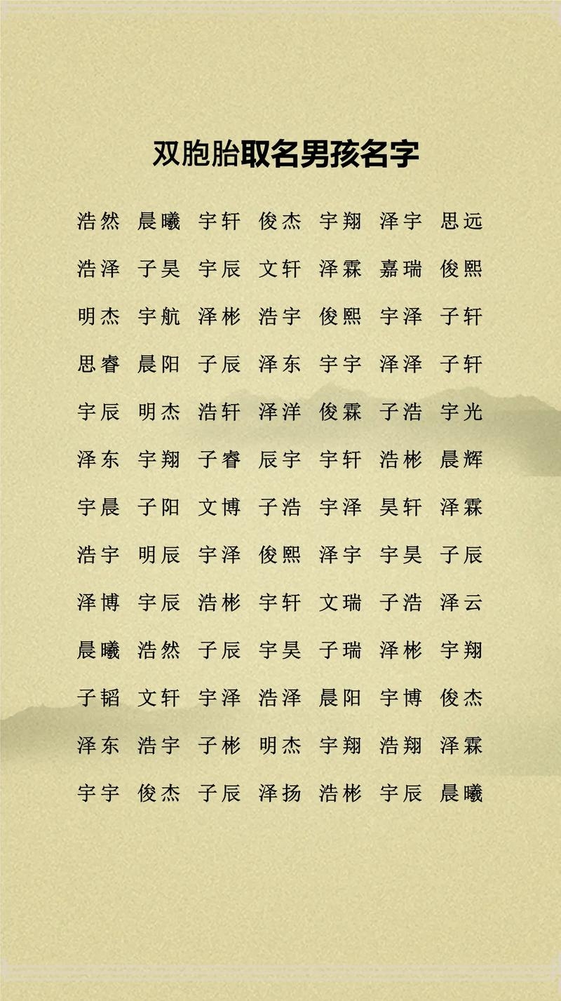 双胞胎取名艺术插图