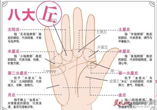 手相智慧线详解，特殊命理特征及其解读插图