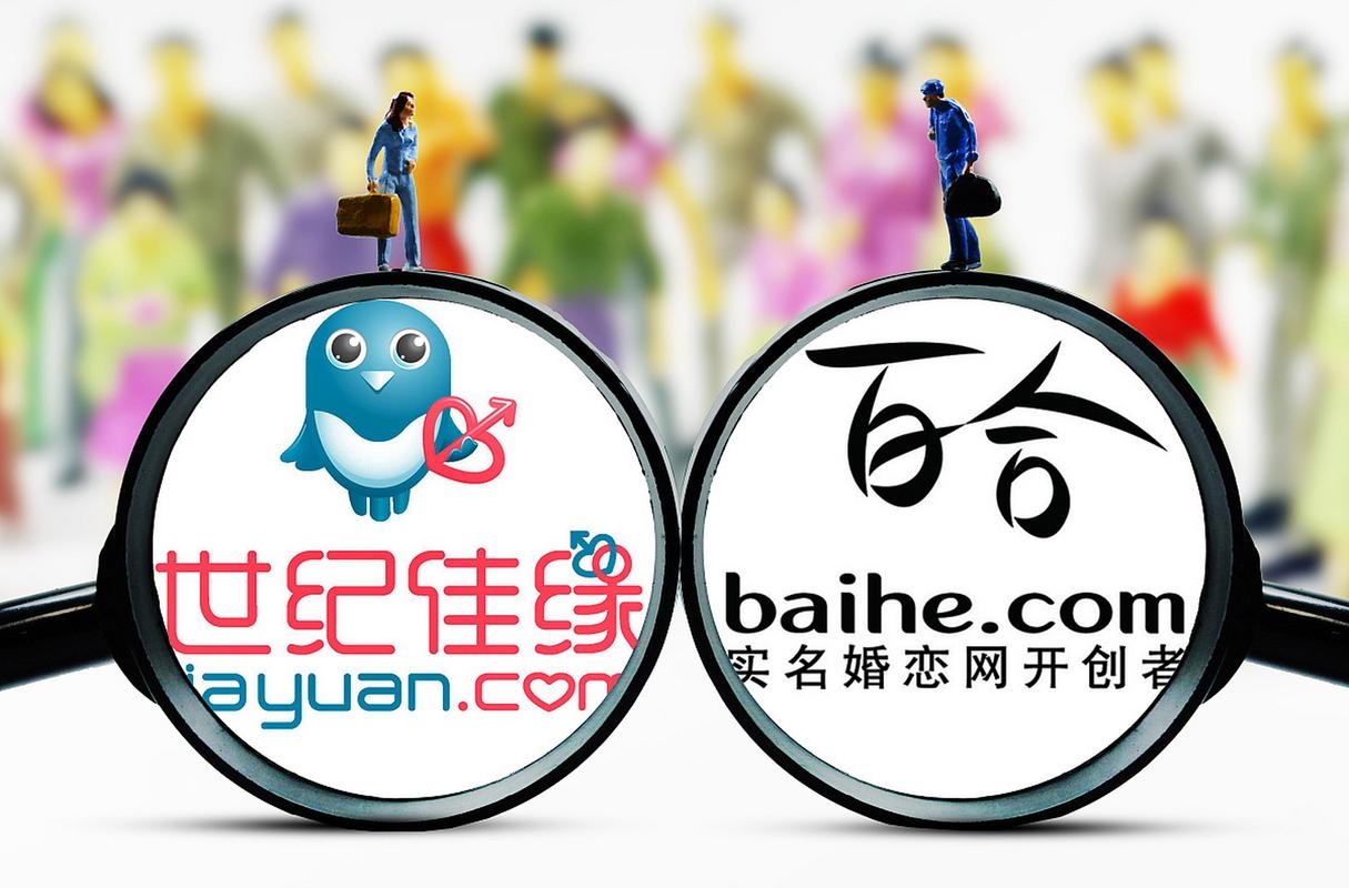 世纪佳缘婚恋交友平台插图