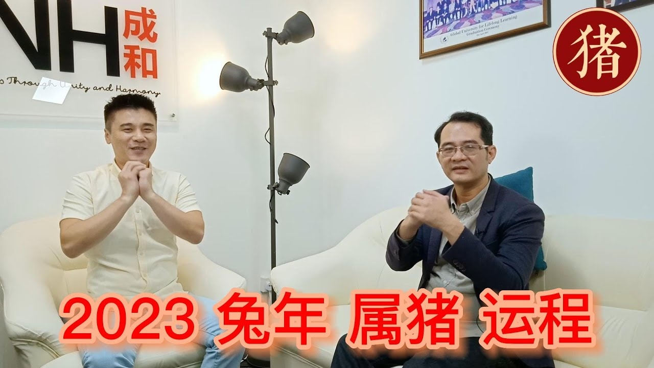 生肖猪揭秘随波逐流特性，缺乏主见，随流而动插图