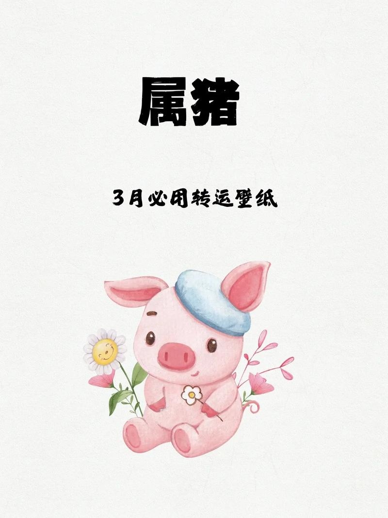 生肖猪2013年运程插图