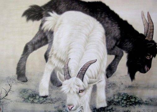 生肖羊、兔与蛇，亲密无间的象征插图