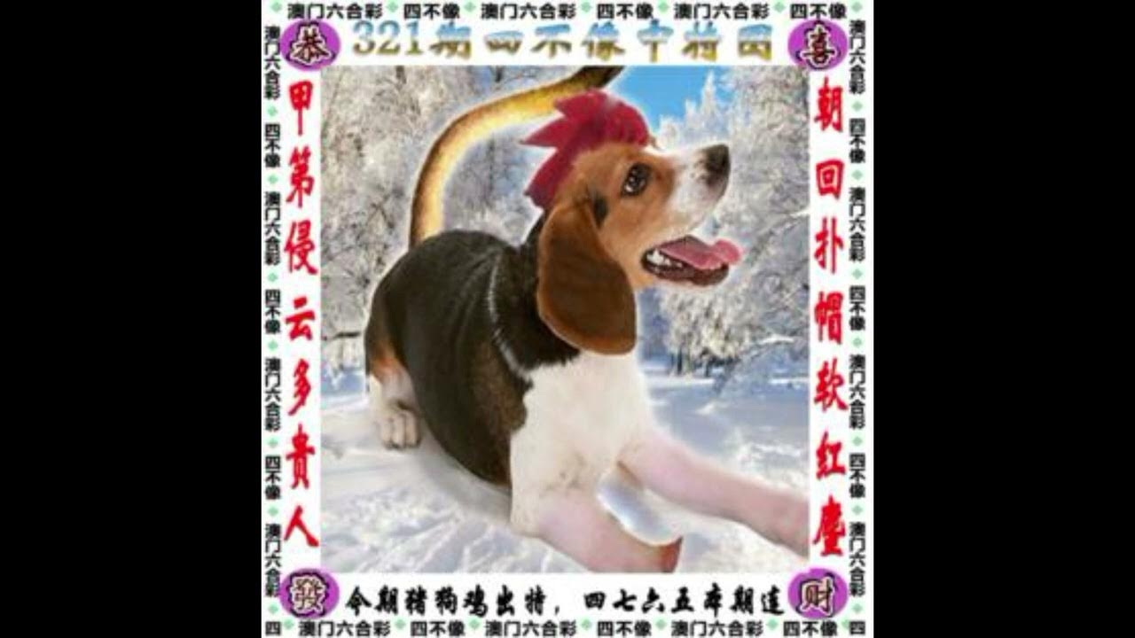 生肖谜语解析,三言两语狐狸精,马或是龙?插图 生肖谜语解析,三言两语狐狸精,马或是龙?插图