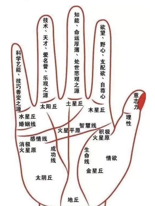 手相与健康关系探秘插图