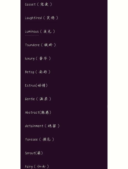 时尚英文网名精选，Casset、Laughtired等，简洁又高级插图
