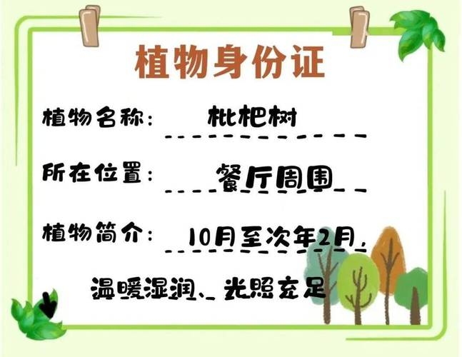 身份证号码与性格测试及命理解析，揭秘背后的真相！插图