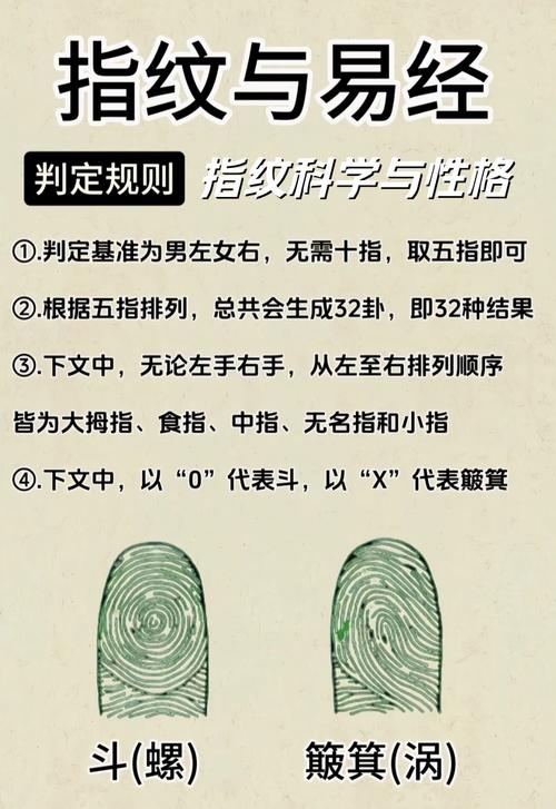 十指指纹定命运插图 十指指纹定命运插图