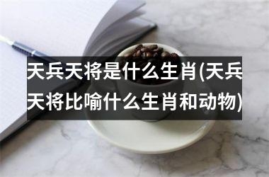 天兵天将代表的生肖，龙、猴与猪的象征解析插图