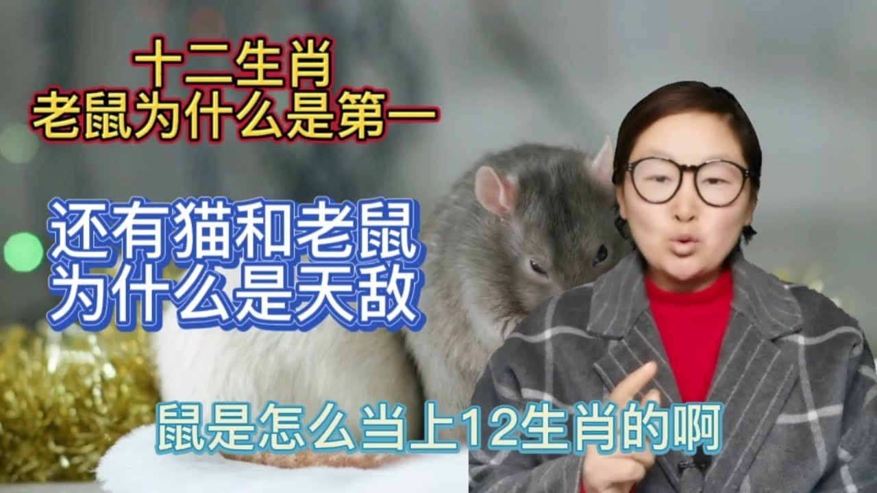 天打雷劈生肖龙或鼠插图