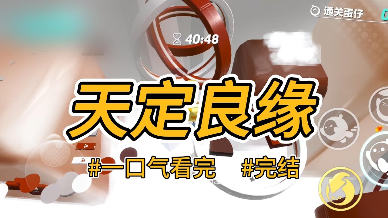 天定姻缘小说全文免费插图