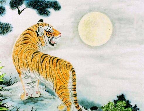 投木报琼生肖虎插图