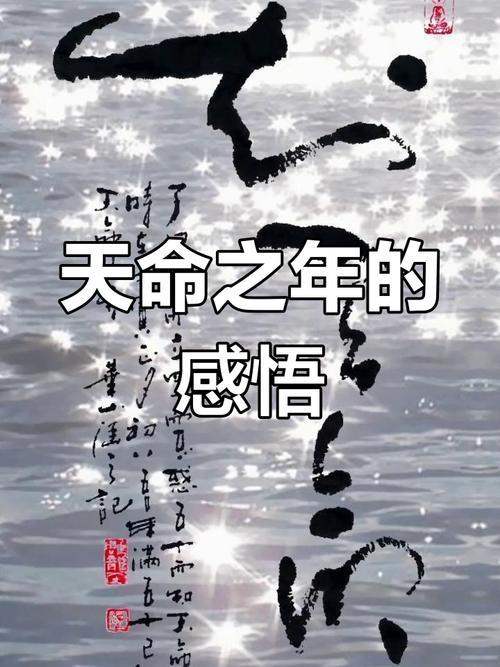 天命之年 五十岁左右插图