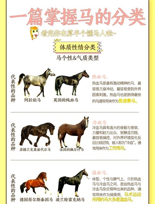 堂内之马,命运与特质解析标题建议,‘堂内之马’的命运展望与性格解读插图 堂内之马,命运与特质解析标题建议,‘堂内之马’的命运展望与性格解读插图