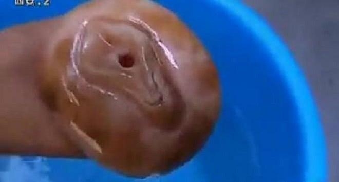 太岁女记者肉灵芝事件标题插图