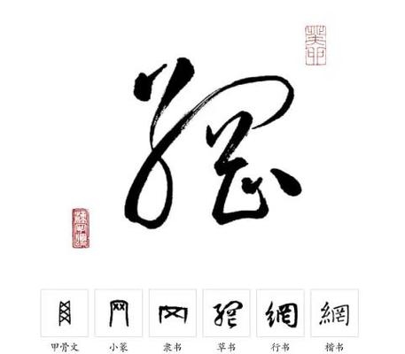 网的繁体字介绍，拼音wǎng，部首冂部。繁体中文中，网字由糸（代表线或丝）和包围它的框架部分组成，强调其编织或连接的元素及结构性。常用于描述捕鱼捉鸟的器具、系统或组织等。插图