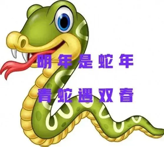 万古长青相关的生肖解析，龙与蛇成谜，数字9或与之相关插图