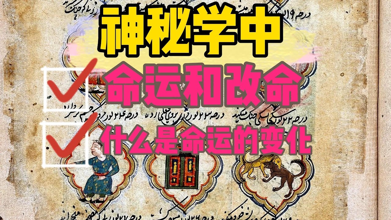 外格解析，命运之灵运与社交智慧插图