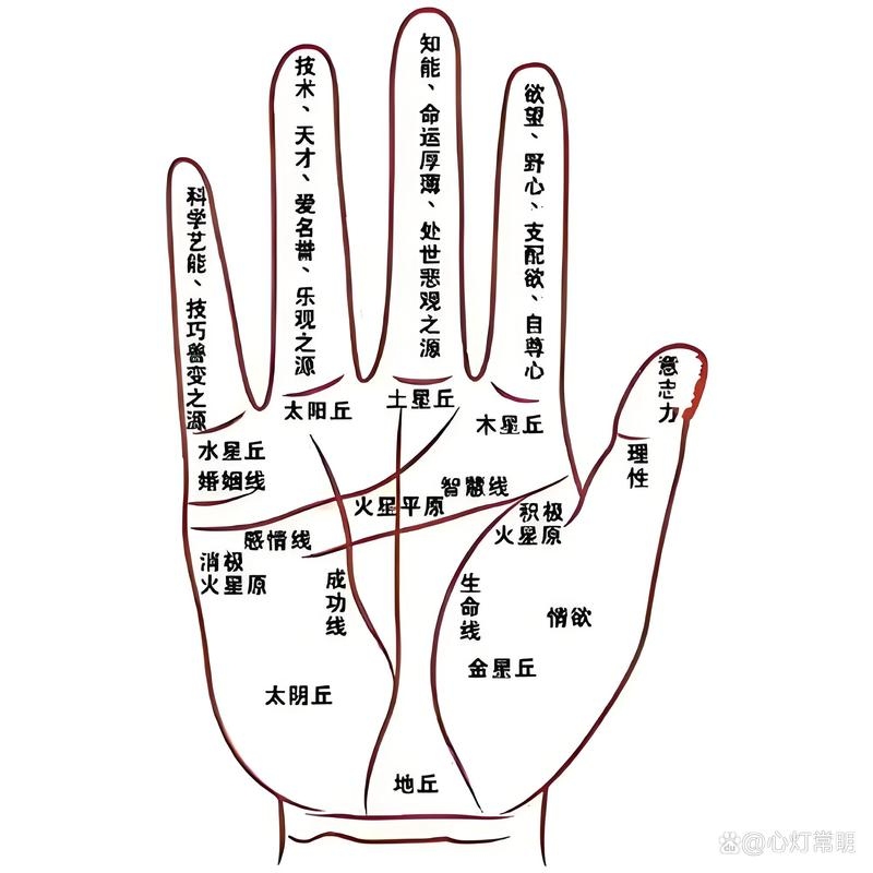 无名指痣的含义与解读，财运佳、配偶地位高，或遇浪漫爱情？插图