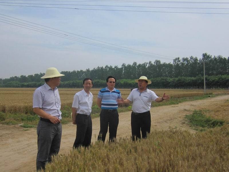 武清交友与传销活动,天津农学院,农业教育高地,武清视窗——本地信息平台插图 武清交友与传销活动,天津农学院,农业教育高地,武清视窗——本地信息平台插图