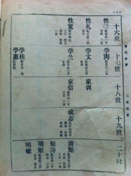 王氏家谱字辈大全插图