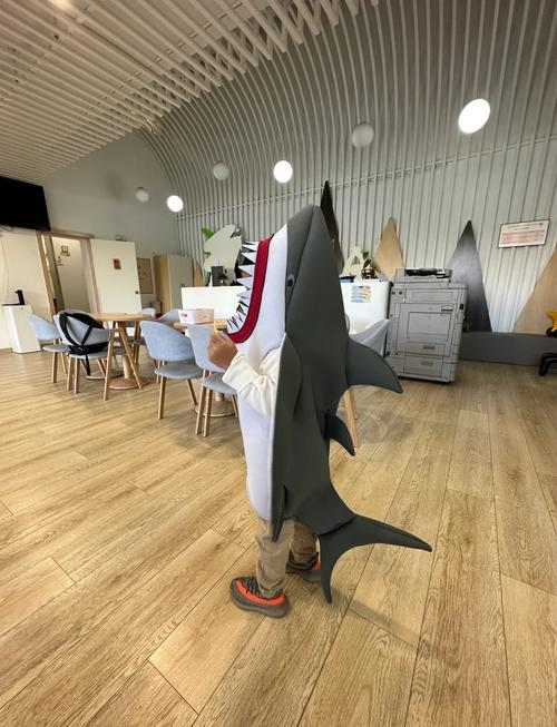 万圣节儿童DIY服装制作指南插图