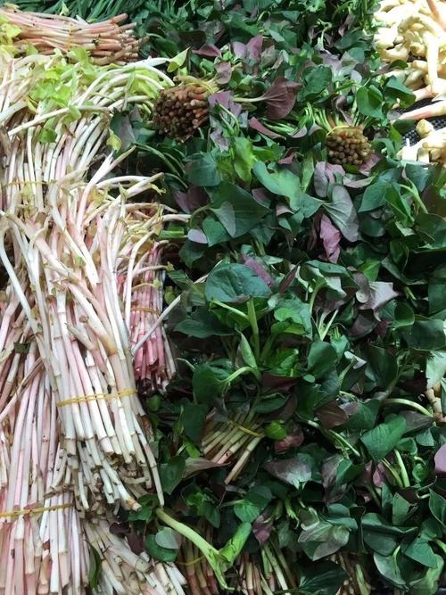 王者温柔丧ID建议，宅家怀旧、褪色浪漫、月光哀愁。旧城伤怀，寂寥清欢梦蝶迷等名字蕴含着对过去时光的怀念和淡淡的忧伤与雅致氛围的融合。这些既带有丧意又蕴含温柔的王者荣耀昵称适合喜欢低调内敛的玩家使用。插图