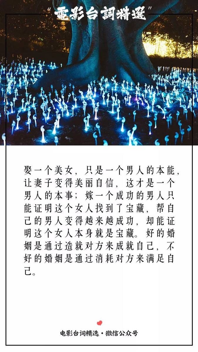 心安理得，生肖之猪。插图