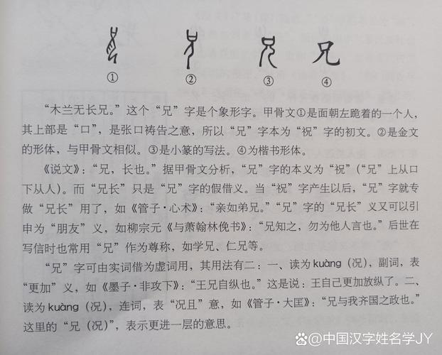 兄部首解析插图