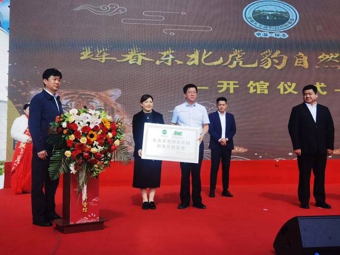 珲春文化交流与信息发布平台插图