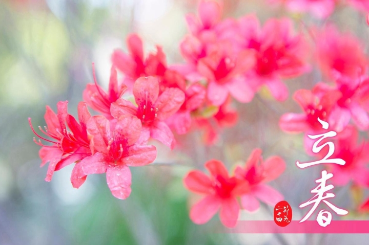 躲春2023,具体时间与属相应对策略插图 躲春2023,具体时间与属相应对策略插图