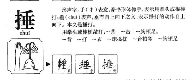 插的拼音（捶的拼音）插图