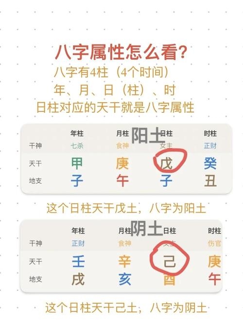 瓷都在线排盘系统解析，八字命理详解与五行分析插图