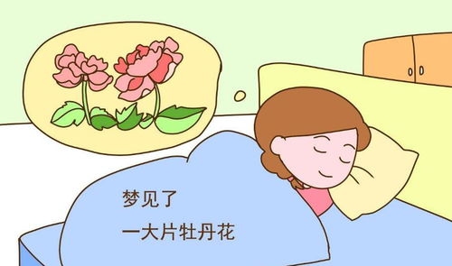 孕妇梦到狗咬预示胎梦与吉兆插图