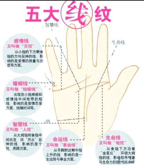 免费算命在线测子女缘插图