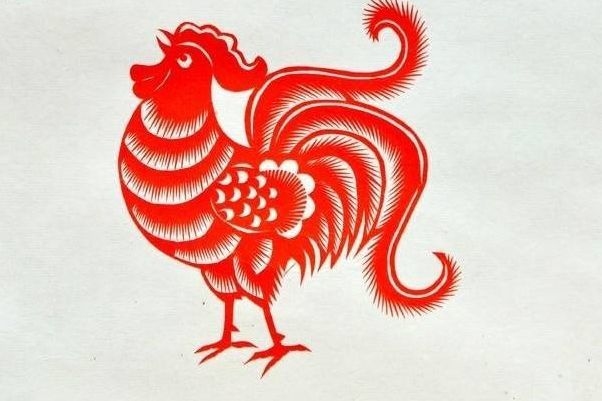 眉飞色舞解读生肖，鸡、蛇与龙的独特展现插图