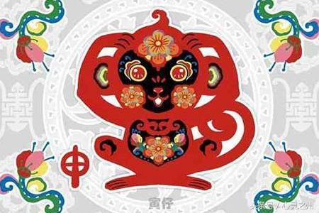 洪福齐天打一生肖代表猴插图