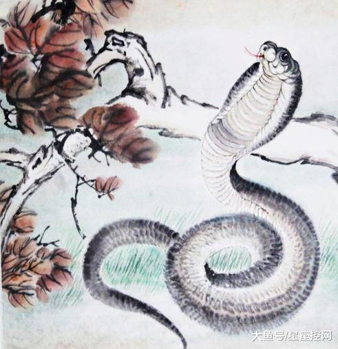 斜风细雨代表生肖蛇，神秘、细腻且富有诗意插图